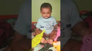 Cut Boy