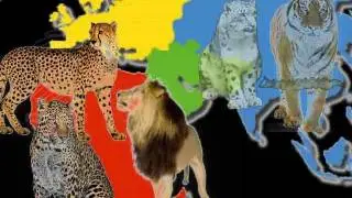 SUPPORT Endangered Big Cats! Music video tribute (Already Over)