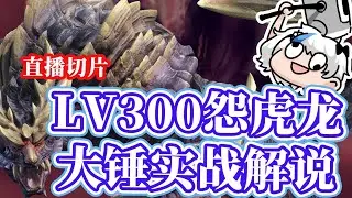 F01会拆家的小猫咪.exe 【LV300怪异怨虎龙大锤实战解说直播切片】#game #魔物獵人 #怪物獵人