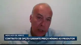 Mercado de arroz: contrato de op&ccedil;&atilde;o garante pre&ccedil;o m&iacute;nimo ao produtor