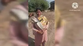 Movie Shooting For you Film Shooting Arooj Pari Village 2025 @AMVLOGTV