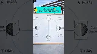 INFLUYE la LUNA en los CULTIVOS. MITO o REALIDAD