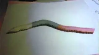 3D origami Snake