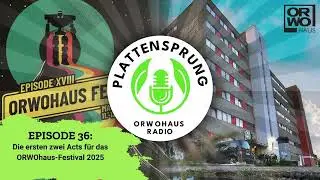 PLATTENSPRUNG Episode 36 - Festival 2025: Erste Ankündigungen!