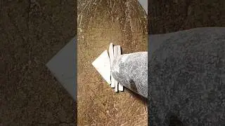 Shale stone Crush❣️😍 #shorts #ytshort #satisfying #crushing  #shalestone #asmr #amazing #viral ✨