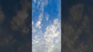 Beautiful sky💙Bird video #sky #birds #nature #naturelovers #photography #shorts #status