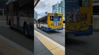 Brisbane Transport MAN 18.310 (CNG) Volgren CR228L W1501 Departing At Roma Street #bus #shorts