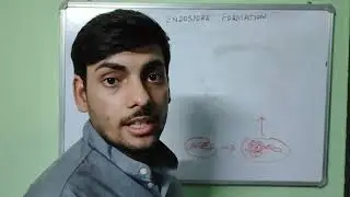 Spore formation in Bacteria