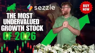 The Most Undervalued Stock in the Market (I Just Bought More $SEZL)