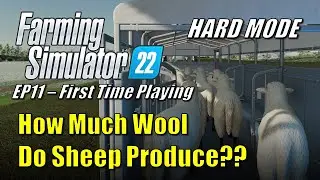 Farming Simulator 22 - EP11 - Everything About Sheep | Hard Mode | First Time Playing | Let's Play
