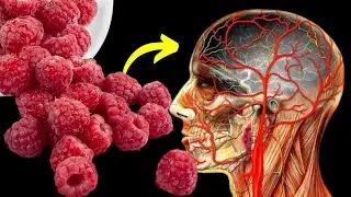 WHAT HAPPENS TO OUR BODY WHEN WE USE RASPBERRIES DAILY #RaspberryBenefits #Dietary #cancerprevention
