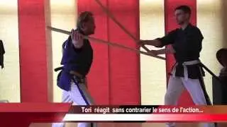 Iaï Yoseikan Ryu