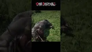 RDR2 Legendary Bison Hunt | Perfect Kill #gaming #gameplay #games