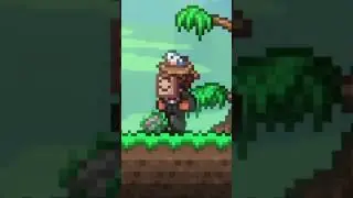 Play This Mode in Terraria