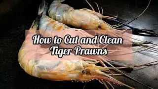 How to cut and clean tiger prawns| চিংড়ি মাছ কিভাবে ছাড়াবেন