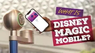 Magic Mobile Disney | Как настроить Disney Magic Mobile | MagicMobile Pass