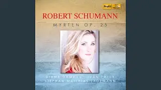 Myrthen, Op. 25: No. 4, Jemand