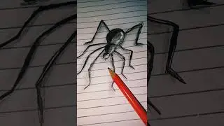 realistic spider drawing #drawing #spider #shorts #cool