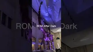 ROM After Dark #museum #royalontariomuseum #toronto #torontolife #museumvlog #trendingshorts