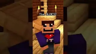 This Shulker glitch INSTANTLY bans you from any Server in Minecraft! #shorts