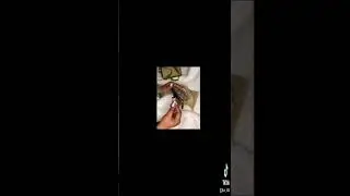 Gucci Supreme Pouch #gucci #luxury #luxurylifestyle #unboxing #design #handbags