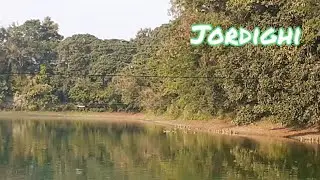 Siberian migratory birds | Jalpaiguri | jordighi | জলপাইগুড়ির জোরদিঘিতে অনেক পরিযায়ী পাখির দল