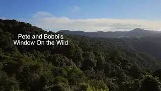 Dorrigo Rainforest  Lookout from the Skywalk