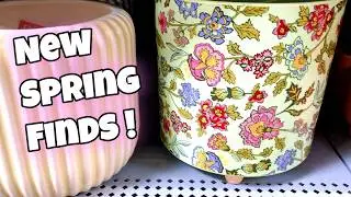 Walmart Spring Planters 2026 | 🛒🌷💚 New Bulbs & Bare Roots!