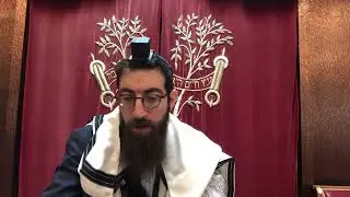 Training for the Torah