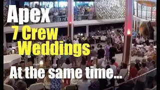 Celebrity Apex Cruise Ship 7 Crew Member Weddings all at the same time