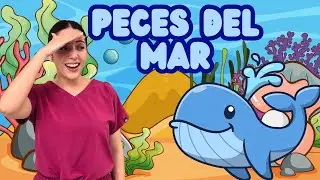 Aventura bajo el agua con los animales del mar 🌊🐬 | Discover the Ocean Magic for Toddlers 🐙✨