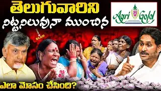 Agri Gold Scam Explained