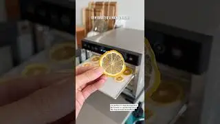 Dehydrated Lemon Wheels