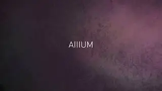 Block X preview