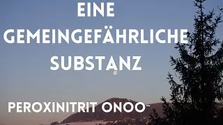 Nitrotyrosin - eine gemeingef&auml;hrliche Substanz! in unserem K&ouml;rper!!!