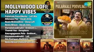 Mollywood Lofi ഹാപ്പി വൈബ്സ് | Vijay Yesudas Songs | Pularkale Poovilikettu  Lofi Mix