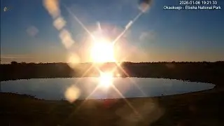 Strange sun + mysterious local thing 