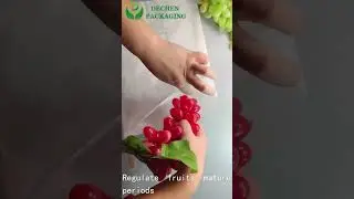 Grape Protection Bags Mango Fruit Bag +8613583554035