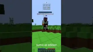 sumo: ez edition #minecraft #minecraftcombo