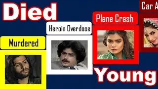 All TV and Film Stars Who Died Too Young | Pakistani Celebrities Death 40 Years and Below