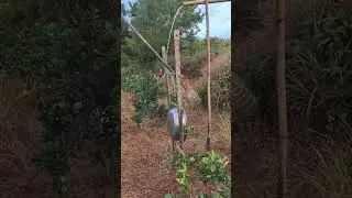 @tout le monde #insolite #machine #astuce #fabrication #technology #shorts