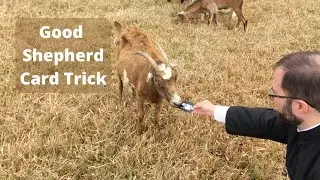 Good Shepherd (Card Trick)