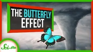 How a Butterfly&rsquo;s Wingbeat CAN Change the Weather