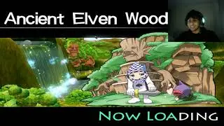 Vetharic Online , FiestaOnline Private server sato Test First time part 1