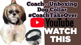 Coach - Unboxing Dog Collar #CoachTakeOver