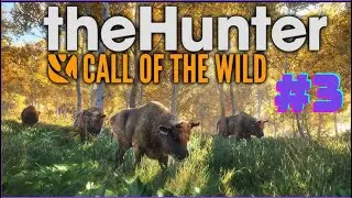 MUHTEŞEM BİZON AVI | TÜRKÇE | 3.BÖLÜM | THE HUNTER CALL OF THE WİLD