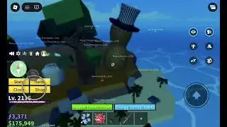 Blox Fruits Pain fruit showcase