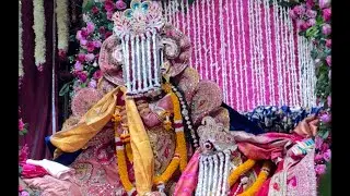 श्री राधावल्लभ विवाह समारोह live darshan #radhavallabh