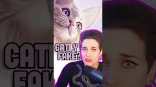 CATLY NON &Egrave; UN GIOCO