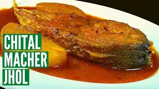 চিতল মাছের ঝোল | Chital Macher Recipe | Clown Knife Fish Curry | Bengali Fish Curry | मचली रेसिपी